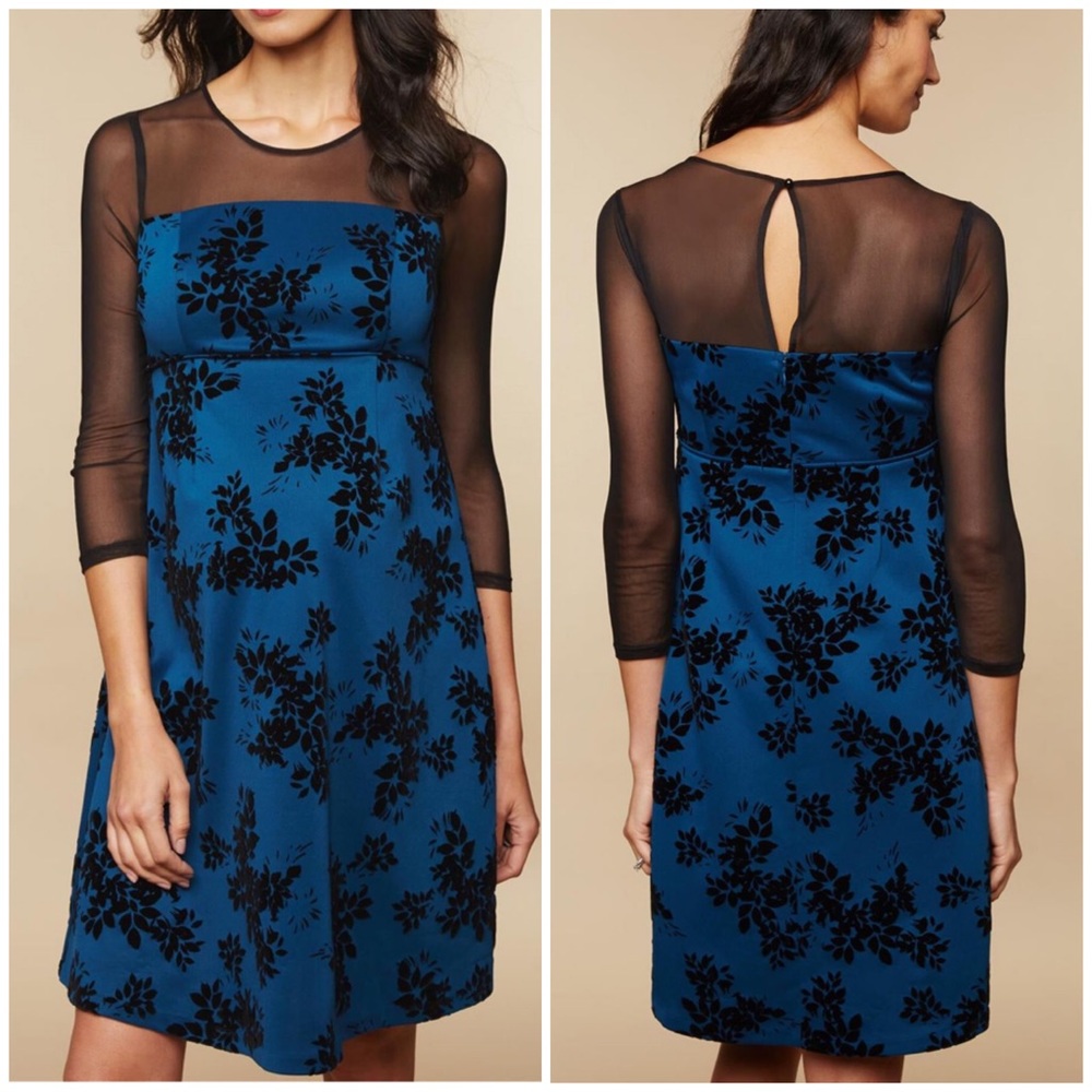 NWT! mesh sleeve, fit and flare dress